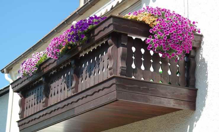 balcone piante